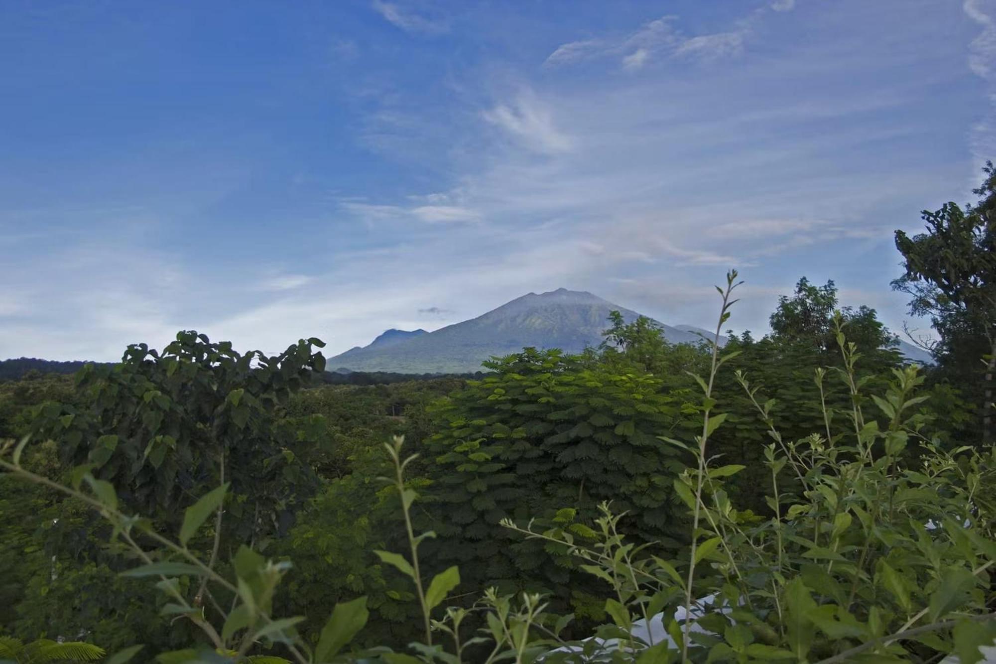 Bangsring Breeze Hotell Banyuwangi  Eksteriør bilde